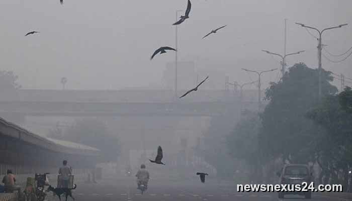 Smog fight: LHC orders Sunday shutdown of Lahore markets