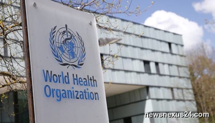 WHO Europe urges tighter rules as AI spreads in healthcare