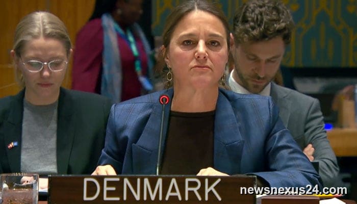 UN panel warns Afghan-backed TTP is a major threat to Pakistan