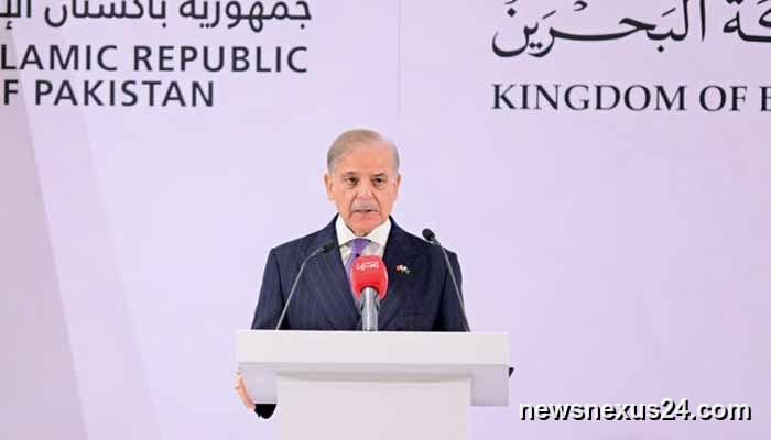Pakistan-GCC free trade pact nearing completion, says Shehbaz