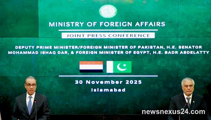 Pakistan, Egypt to fast-track trade via 250-firm 'white list'
