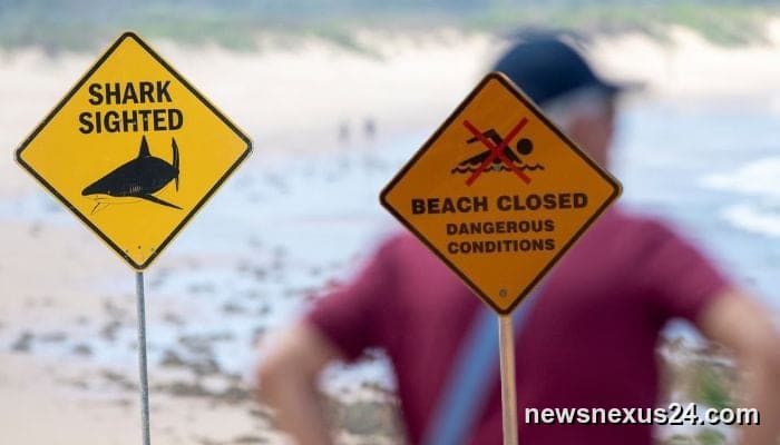 Australia closes beaches after four shark attacks near Sydney in 48 hours
