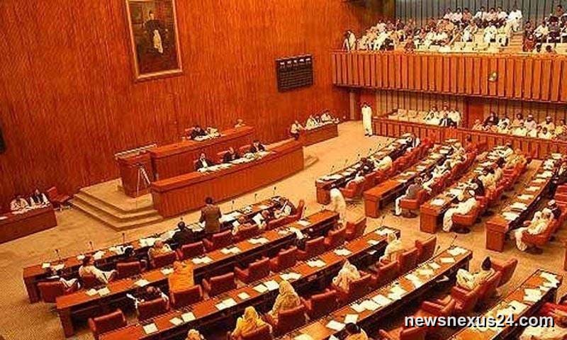 Senate Makes Coding Compulsory in Pakistan Schools
