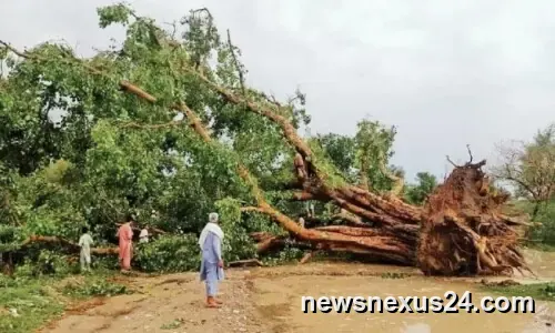 Bannu Storm Injures 20 as Homes and Shops Collapse