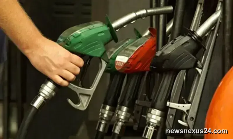 Pakistan Cuts Petrol, Diesel Prices in Weekly Fuel Review