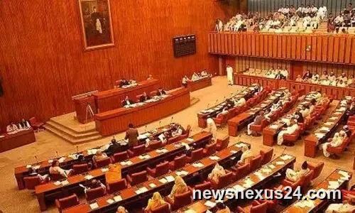 South Punjab Province Demand Returns as PPP Senator Presses Govt