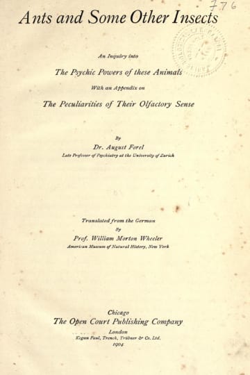 Cover of Ants and some other insects; an inquiry into the psychic powers of these animals