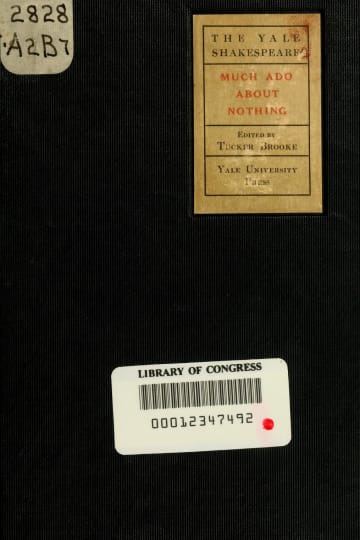 Cover of Much ado about nothing