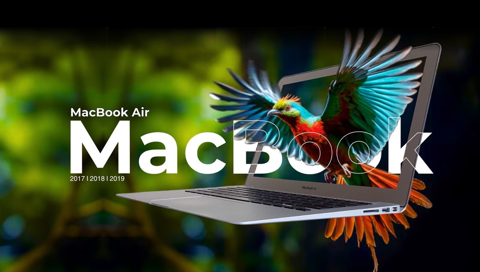 Imagen principal portada