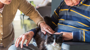 Sur le plan cognitif, l'animal de compagnie stimule la mémoire du résident. Il facilite aussi la mise en lien. (Burger/Phanie)