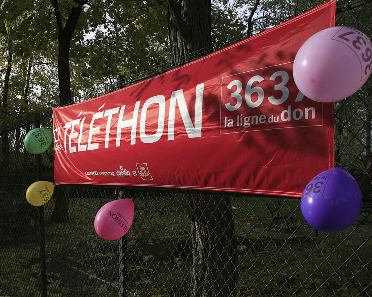 Le Téléthon a eu un rôle déterminant dans le combat contre les maladies rares. L'association de malades et de parents de malades AFM-Téléthon a fait le choix d'une stratégie d'intérêt général guidée par l'innovation. (Deloche/BSIP)
