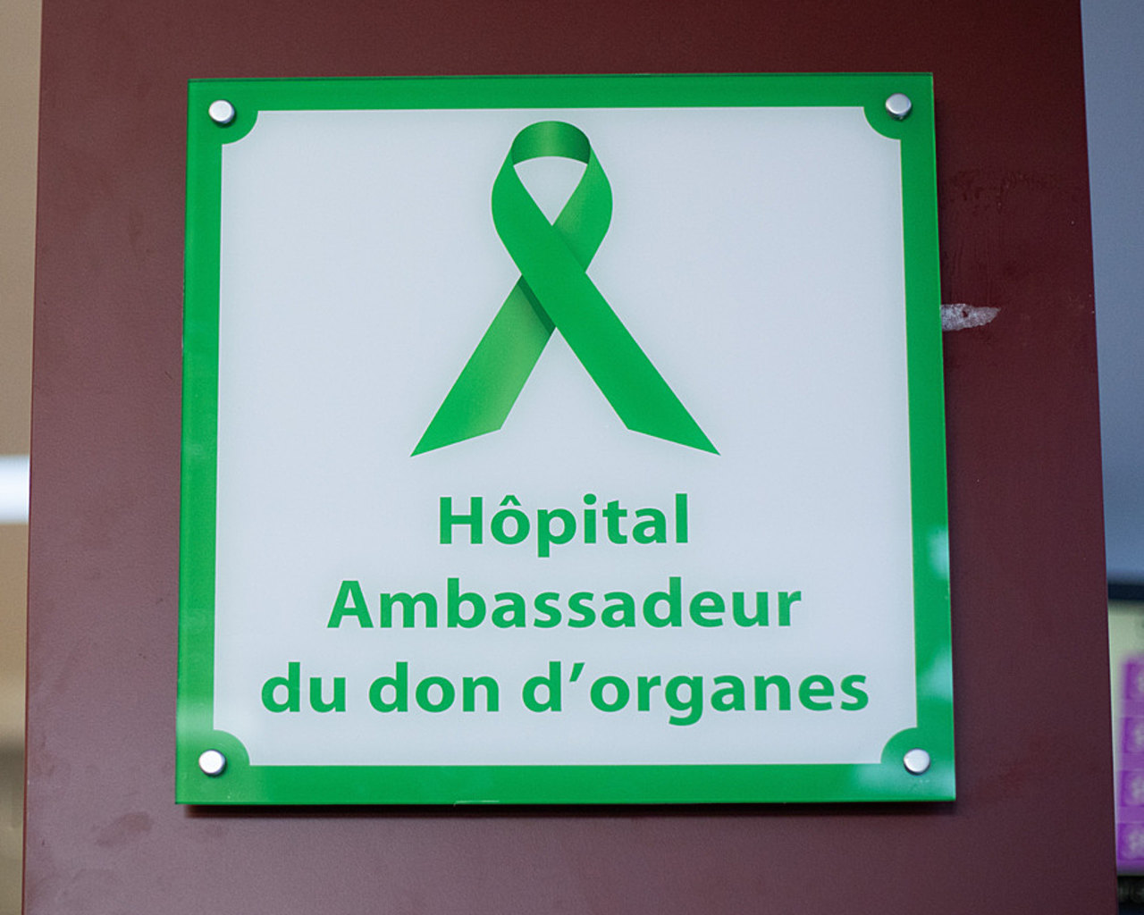L'hôpital Beaujon à Clichy-la-Garenne (Hauts-de-Seine) est le premier établissement de santé à avoir reçu la labellisation "ambassadeur du don d'organes". (Lucie Morel/Hospimedia)