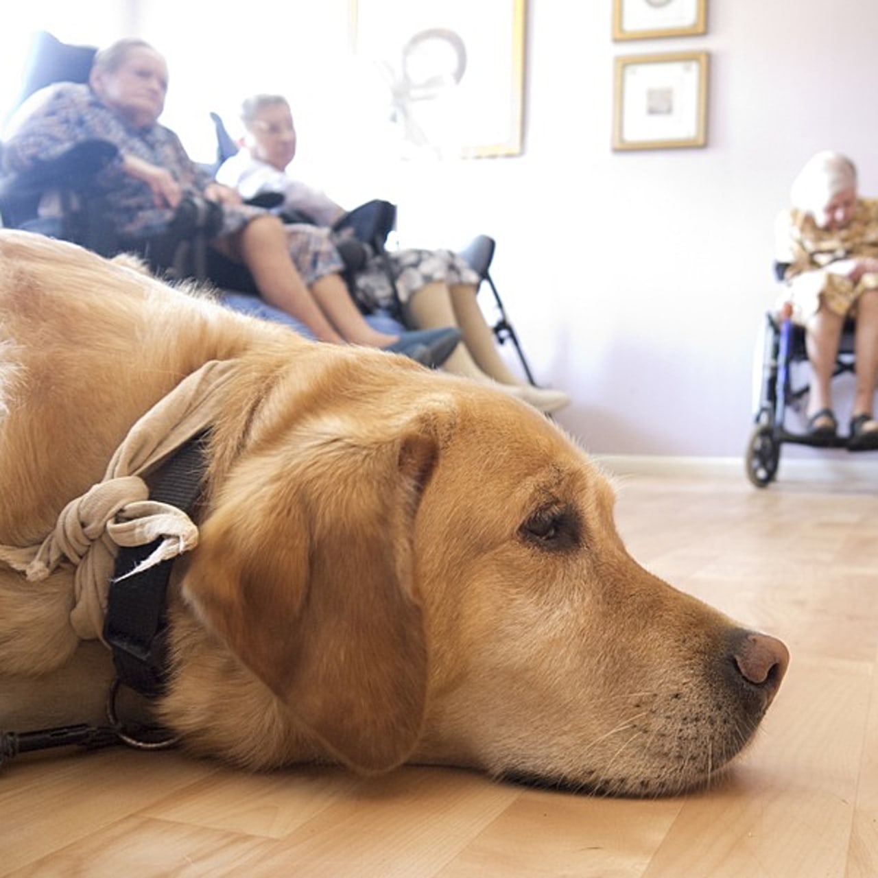 Dina attend patiemment que la séance commence à l'Ehpad de Soisy-sur-Seine.