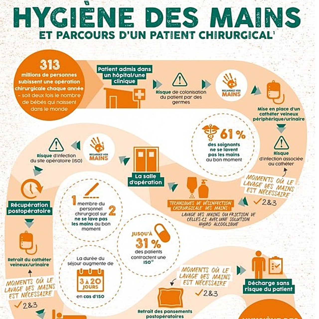Infographie de l'OMS sur l'hygiène des mains