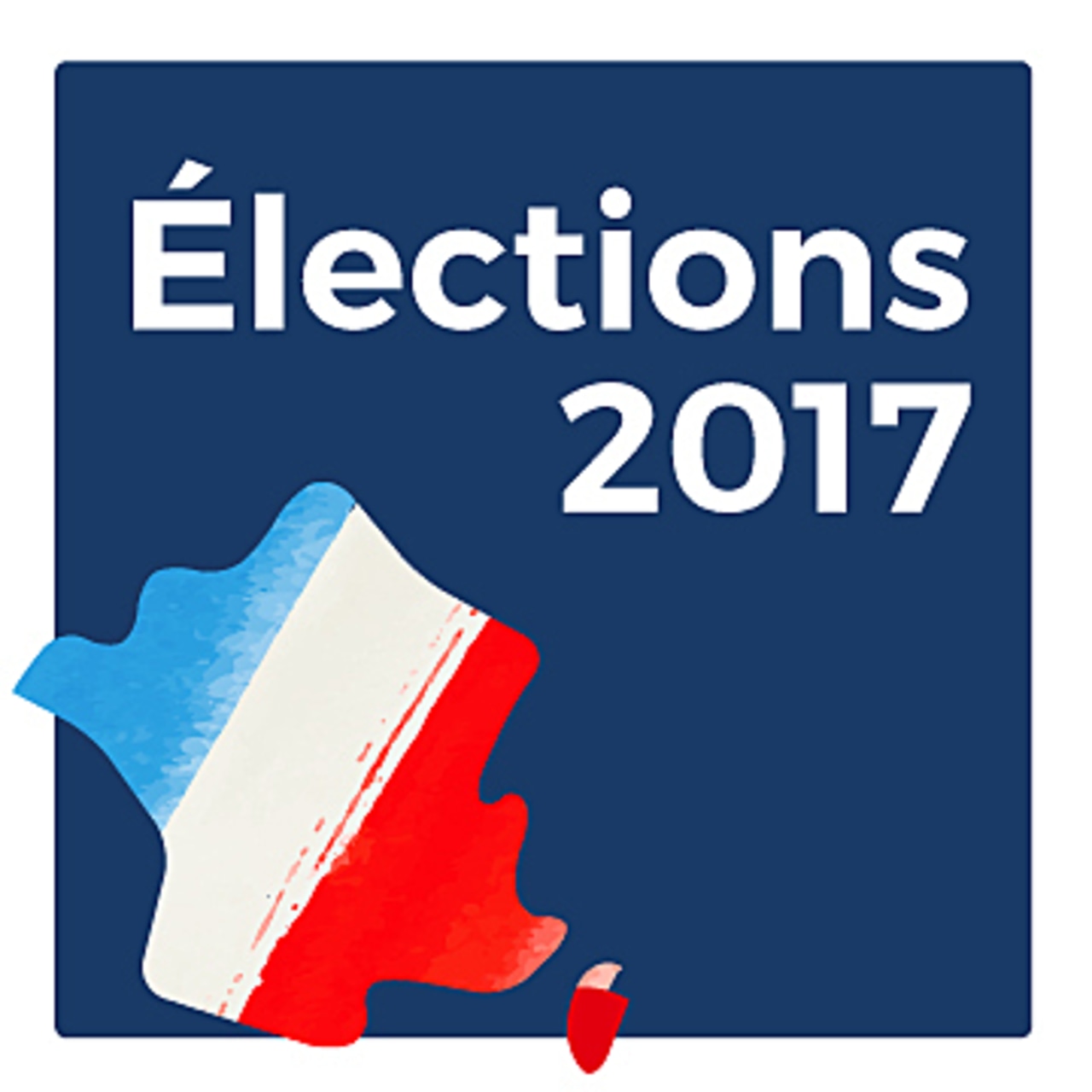 Élections 2017