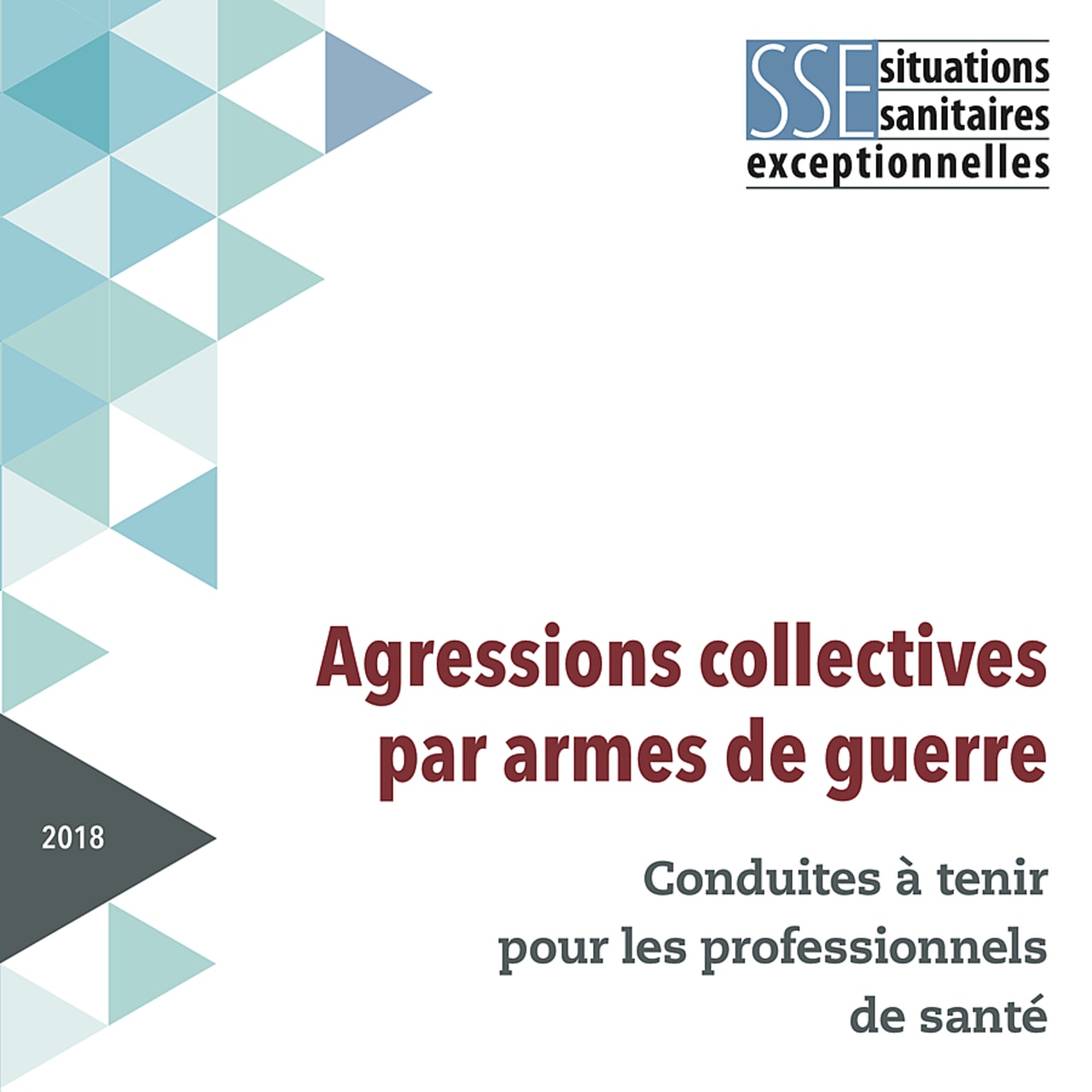 Le "vade-mecum" interministériel consacré aux agressions collectives par armes de guerre