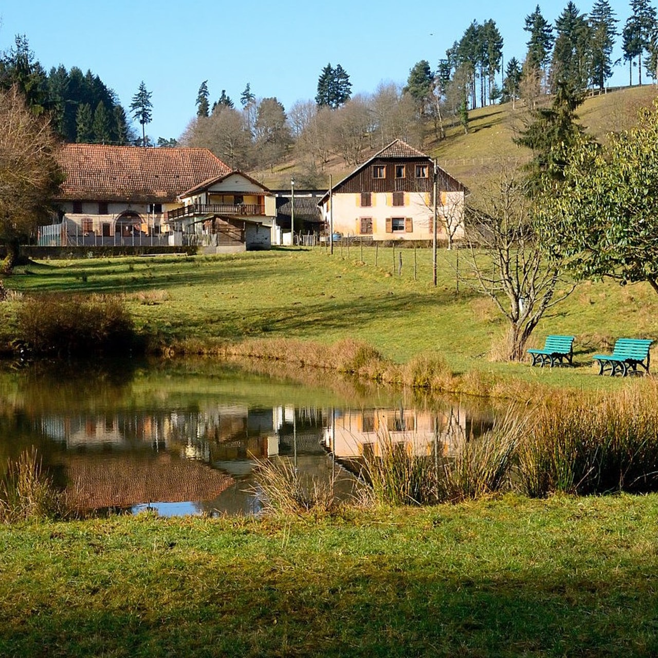 Sur place, les travaux ont commencé pour la réhabilitation des deux anciennes fermes du site et le parcours de visite sera complété par des bâtiments d'animation en bois.