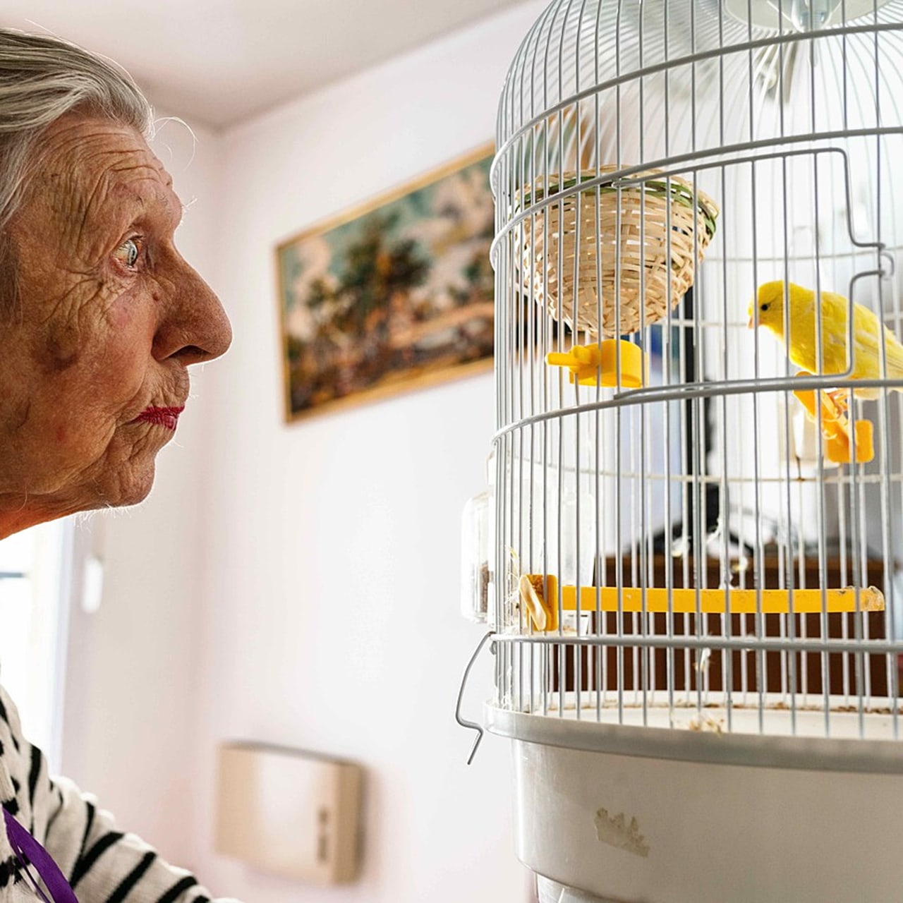 Droit des âgés et sécurité, les deux s'opposent toujours, comment les concilier ? C'est la question posée par le Cercle vulnérabilités et société.