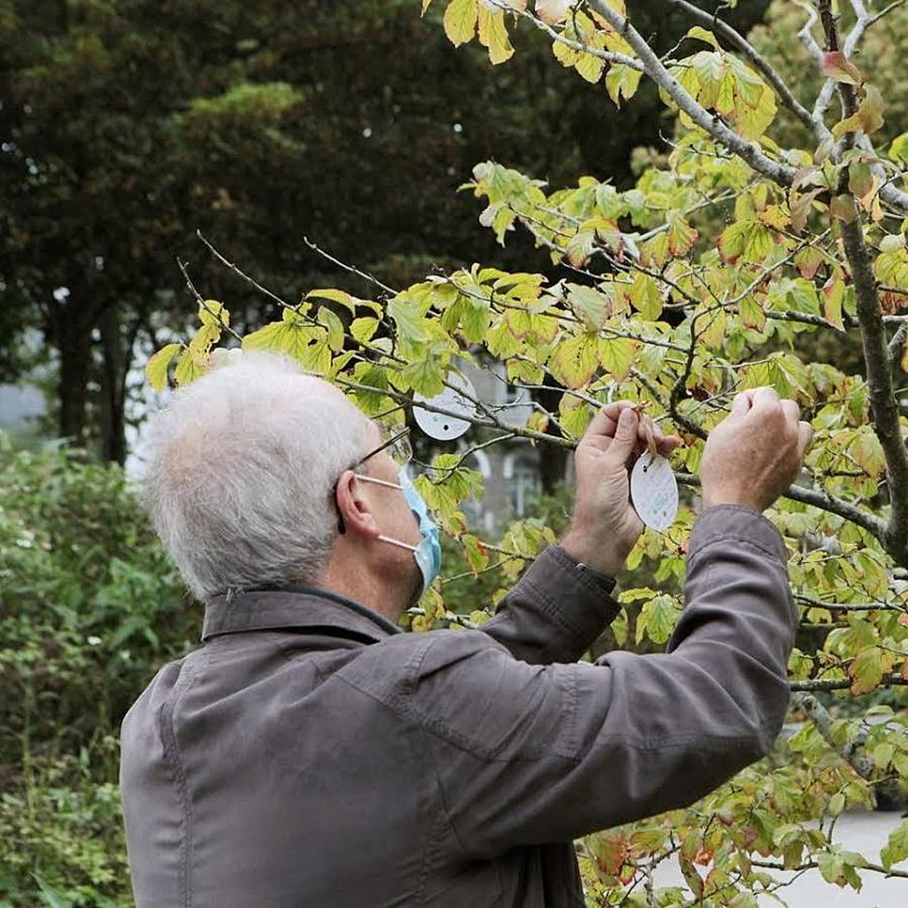 Pour la journée mondiale 2021, France Alzheimer a organisé des rassemblements dans l'espace public sur tout le territoire. Les personnes malades, les aidants et le grand public étaient invités à accrocher aux branches d'un arbre une carte, avec une pensée, un souvenir heureux ou encore un souhait.