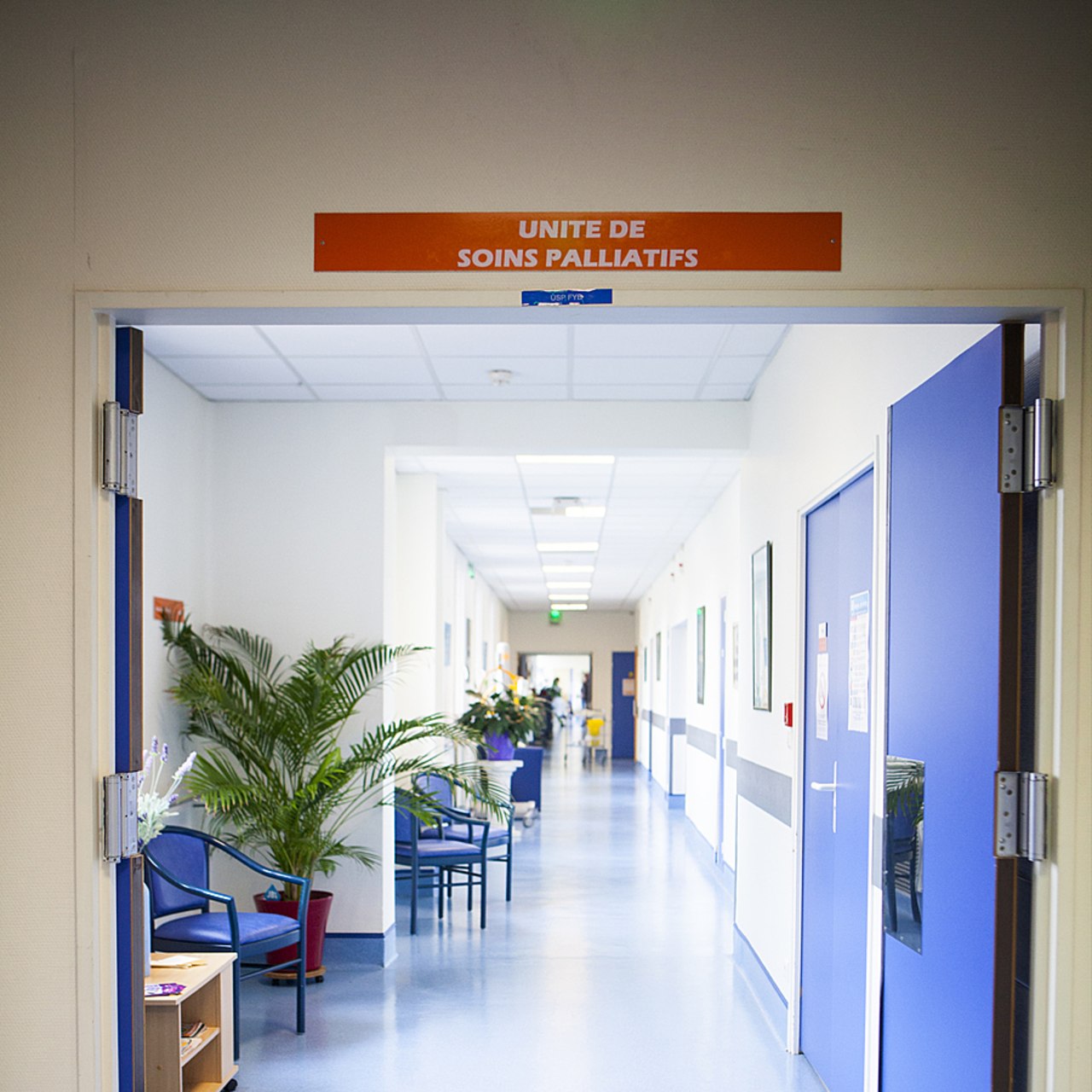 Le sujet de la fin de vie ne peut ni ne doit se résumer à une opposition entre les soins palliatifs et d'aide active à mourir. (Amélie Benoist/Image Point Fr/BSIP)