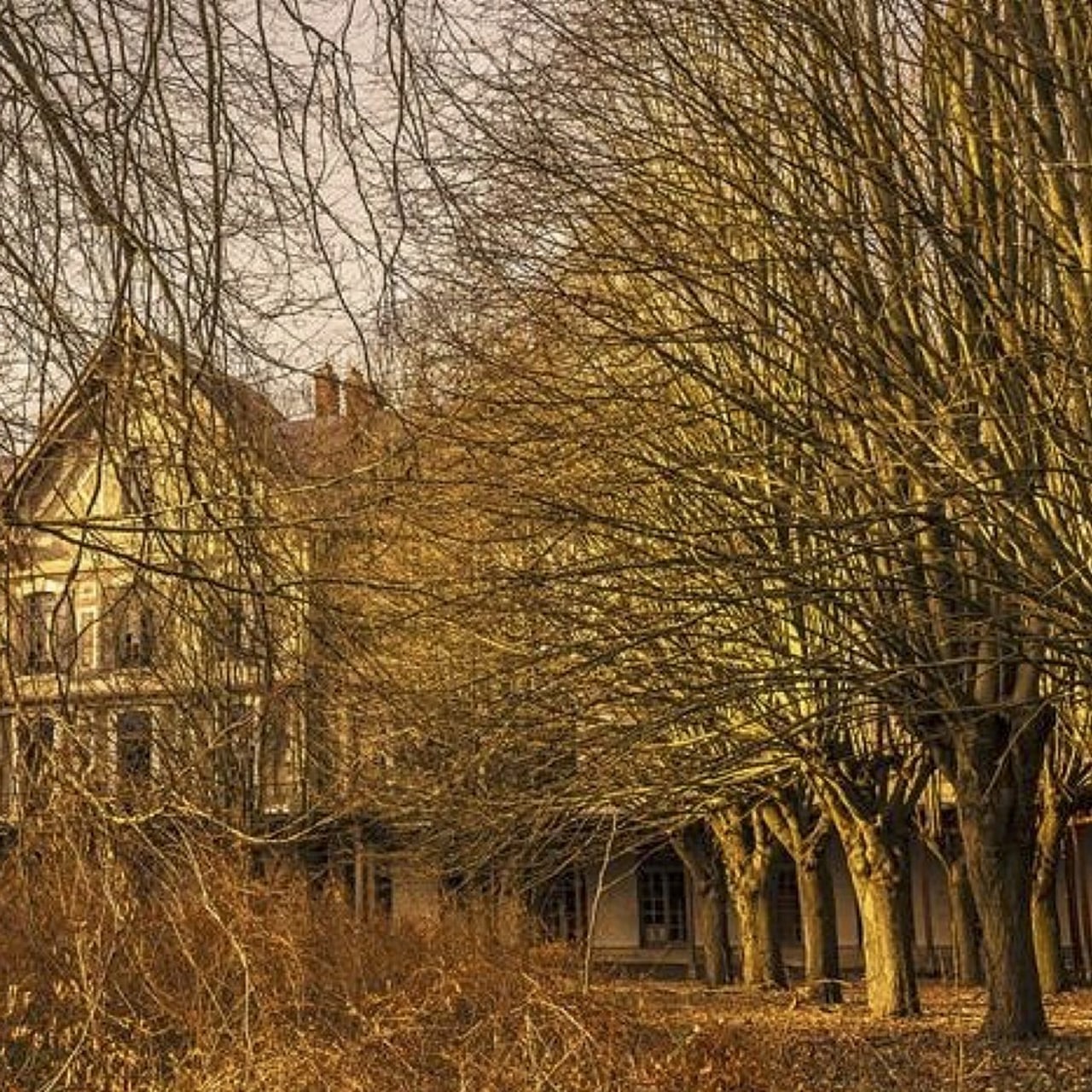 L'origine de l'ancien hôpital Villemin remonte à la fin du XIXe siècle. Laissé à l'abandon depuis 1999, le site est aujourd'hui une friche de 36 hectares très majoritairement boisée. (AP-HP)
