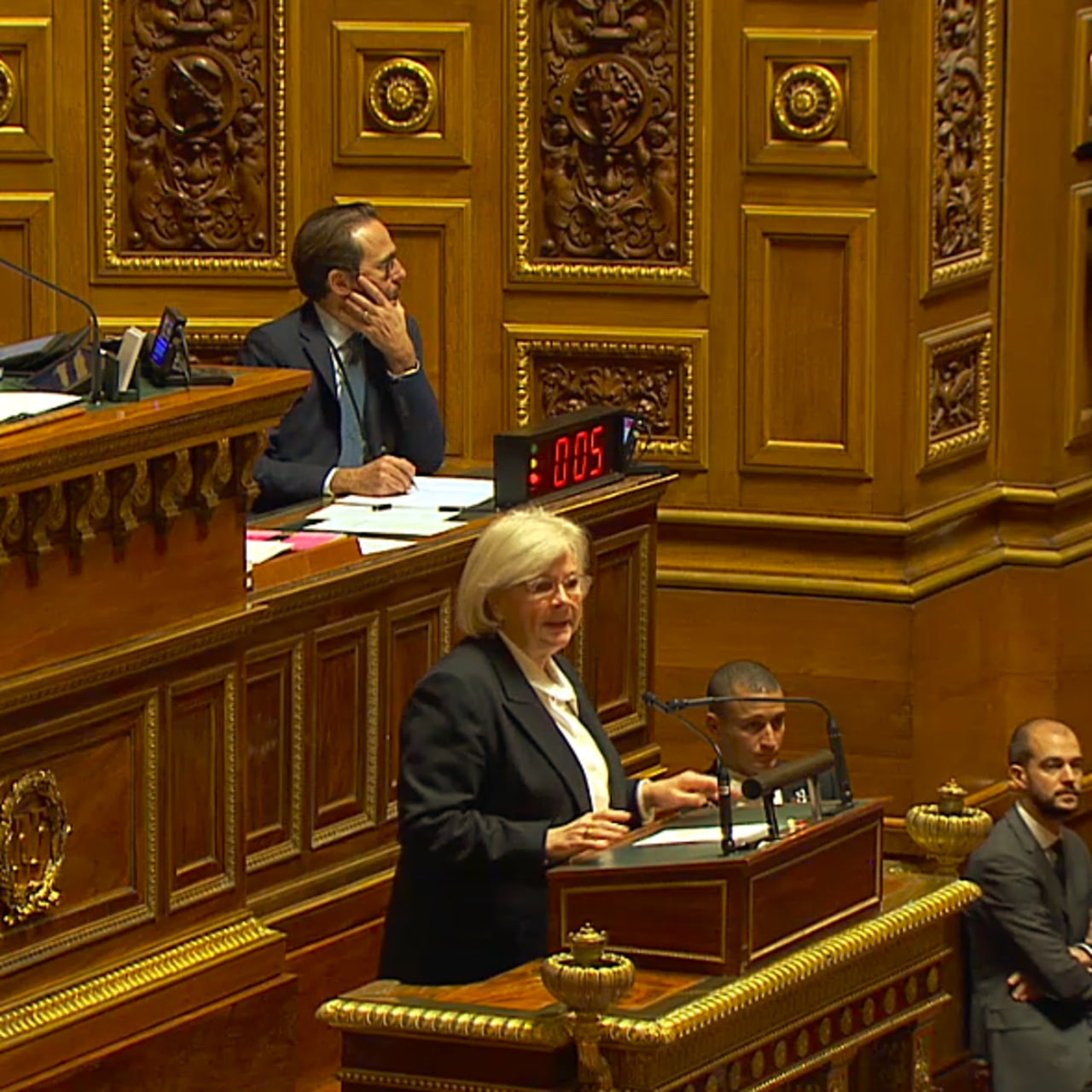 La ministre du Travail, de la Santé et des Solidarités, Catherine Vautrin, a estimé que la proposition de loi Bien vieillir "fera encore progresser" la France dans la prise en charge de l'autonomie. (Capture d'écran/Sénat)