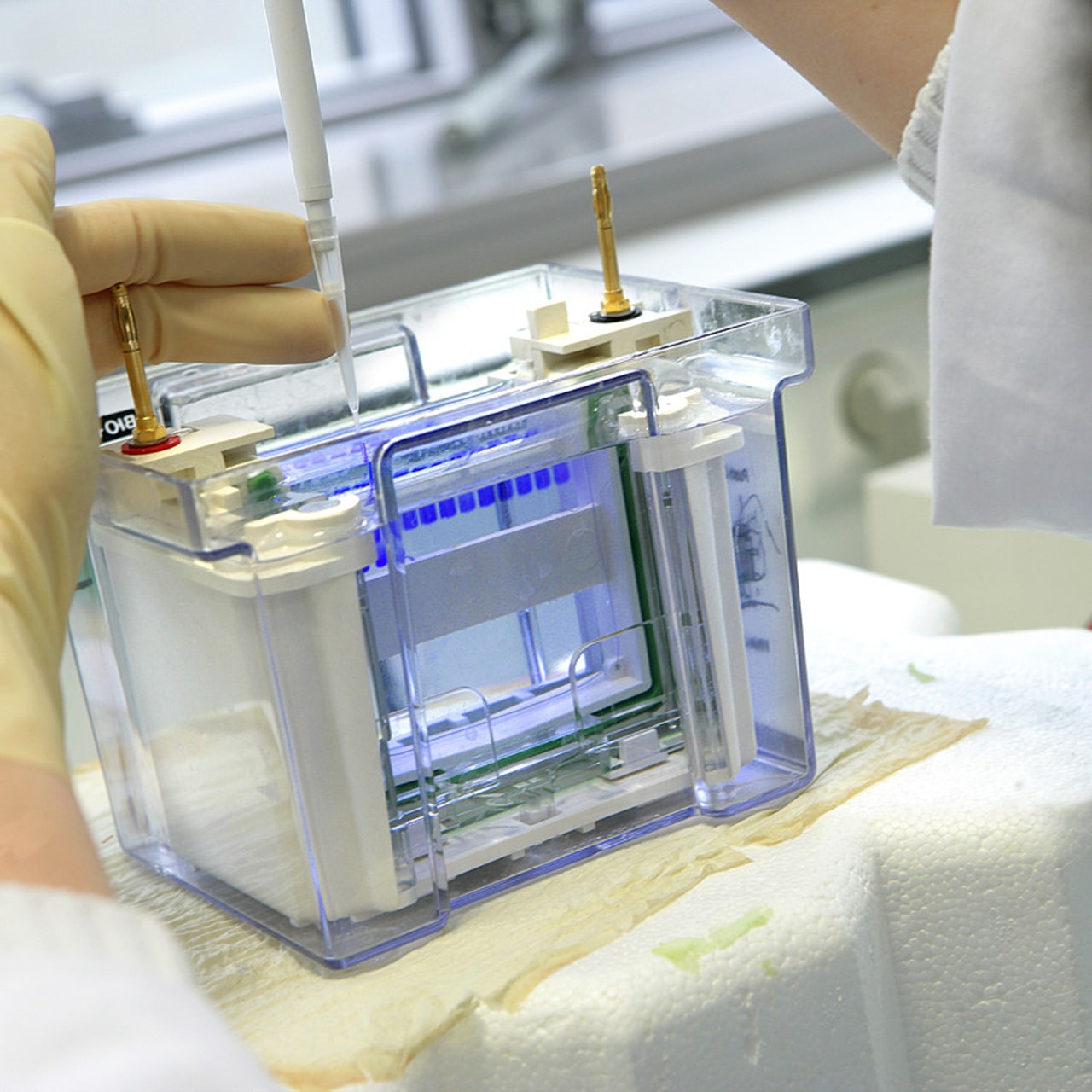 Simple, objectif et transparent. Ces trois éléments sont à considérer pour l'évolution du système d'interrogation de gestion et d'analyse pour des publications scientifiques Sigaps. (Chassenet/BSIP)