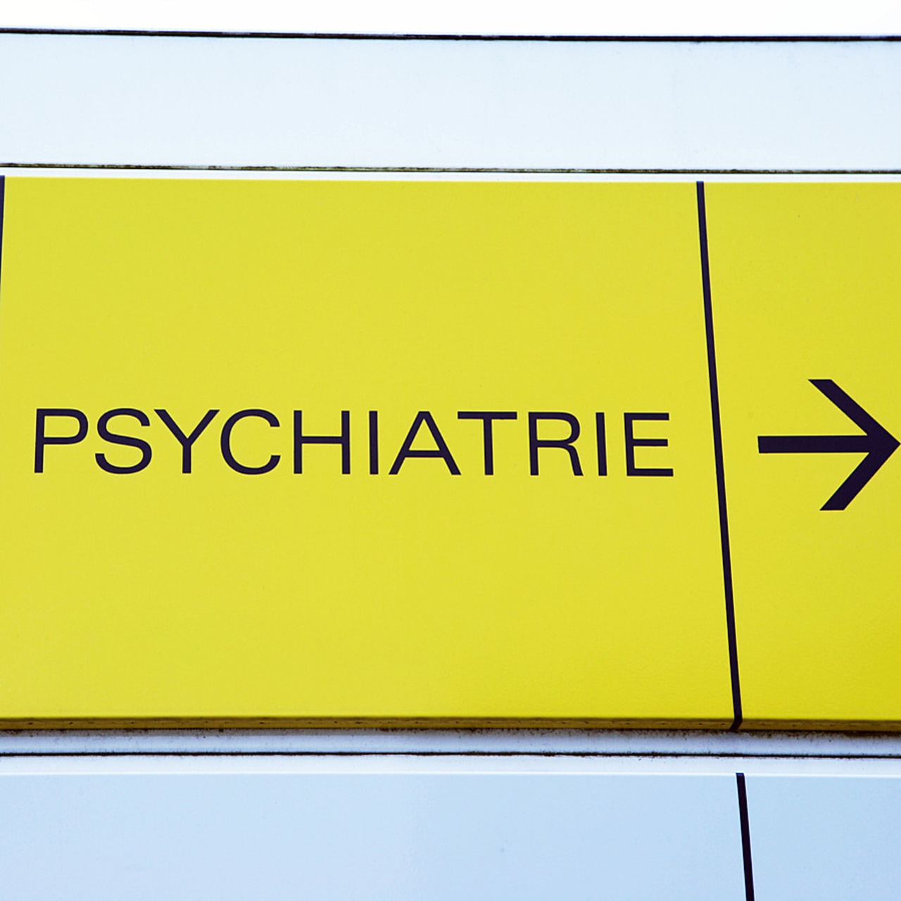 Des travaux sur la méthode de calcul de la dotation populationnelle sont en cours. Ils concernent trois activités spécifiques régionales : l'hospitalisation complète des mineurs ; l'hospitalisation complète sans consentement ; l'urgence et la liaison. (Furgolle/Image Point Fr/BSIP)