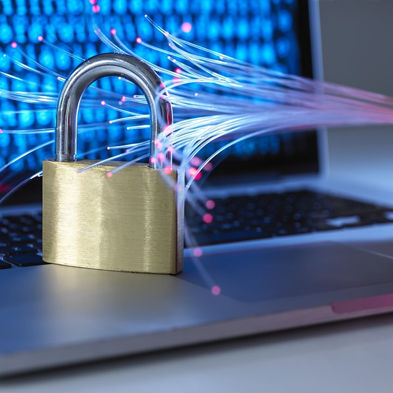 La directive Rec engage la révision du dispositif national de sécurité des activités d'importance vitale. (SPL/BSIP)