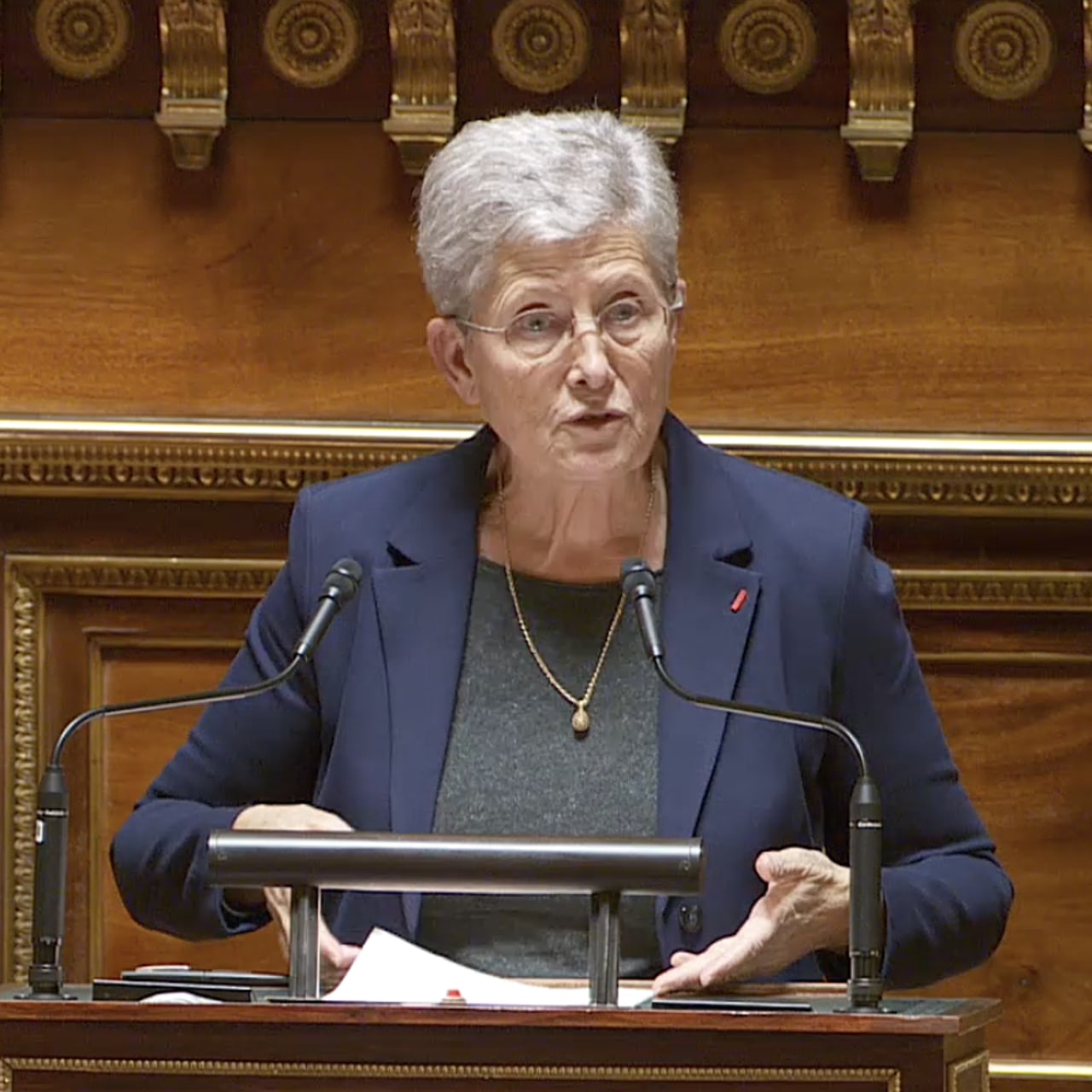 Crédit photo : capture d'écran d'une retransmission vidéo du Sénat