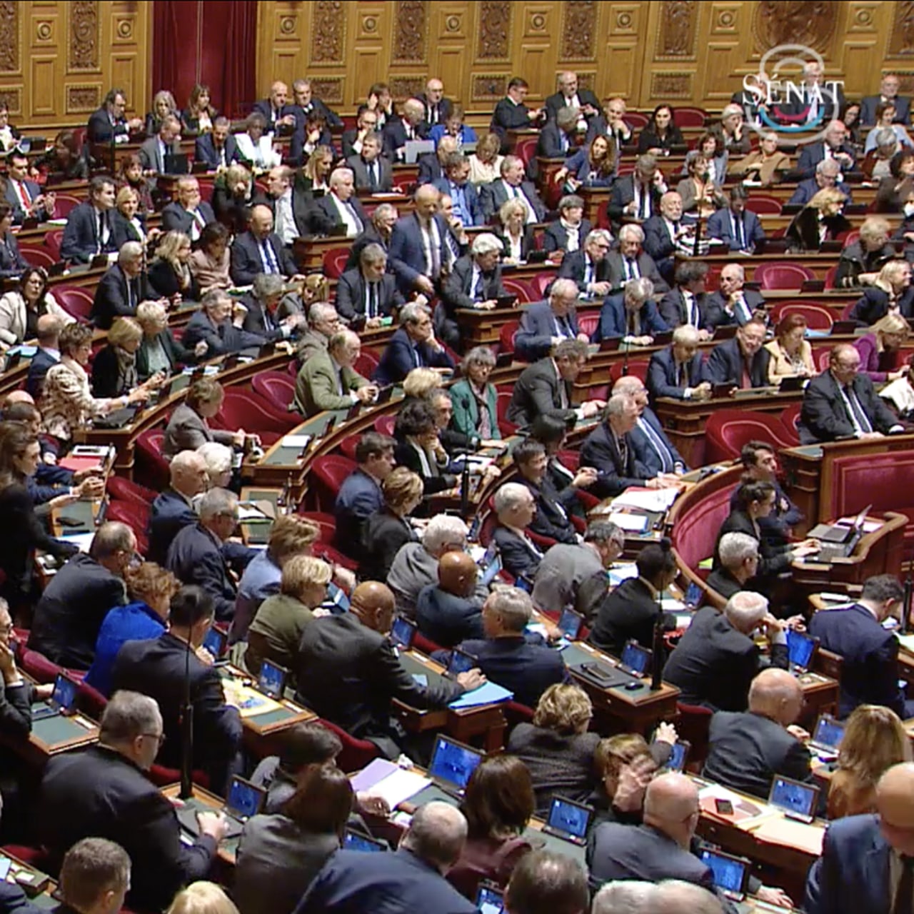 Crédit photo : capture d'écran de la retransmission vidéo de la séance publique du Sénat