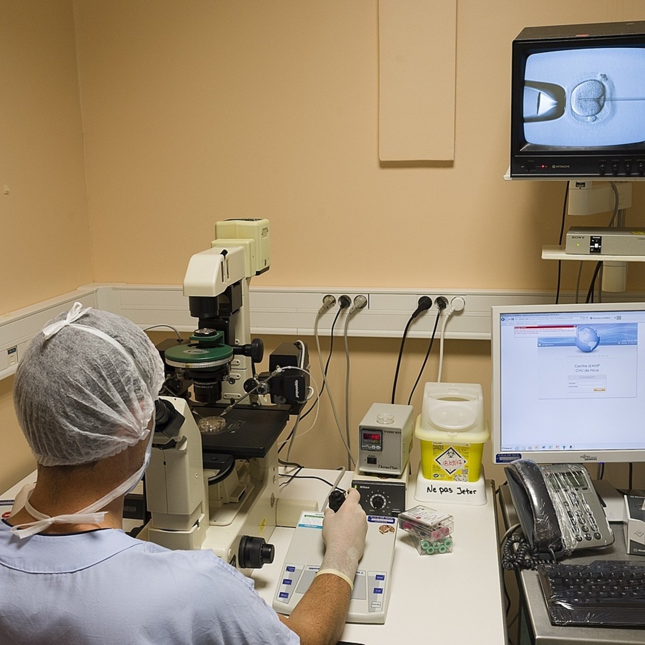 L'amélioration du taux de réussite de l'aide médicale à la procréation permettrait de réduire la baisse de la natalité, mais un effort de recherche est nécessaire. (A.Noor / Image point FR / BSIP)