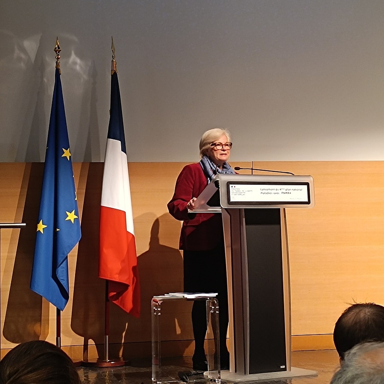 Le Gouvernement indique avoir dégagé une enveloppe de près de 36 millions d'euros de crédits nouveaux pour le fonctionnement des centres de référence maladies rares. (Perrine Debacker/Hospimedia)