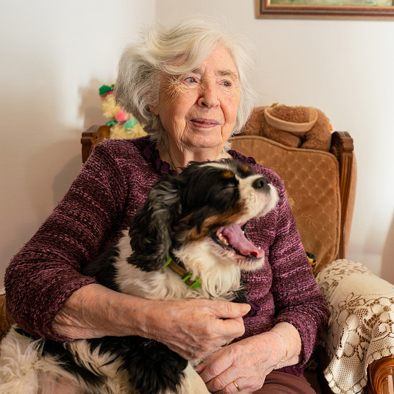 Le résident doit s'engager à prendre en charge les soins vétérinaires liés à son animal, à veiller à l'absence de comportement agressif et à "respecter les règles, fixées par le directeur de l'établissement pour assurer l'hygiène, la sécurité des personnels et résidents, ou la tranquillité des résidents".  (Morcello/BSIP)
