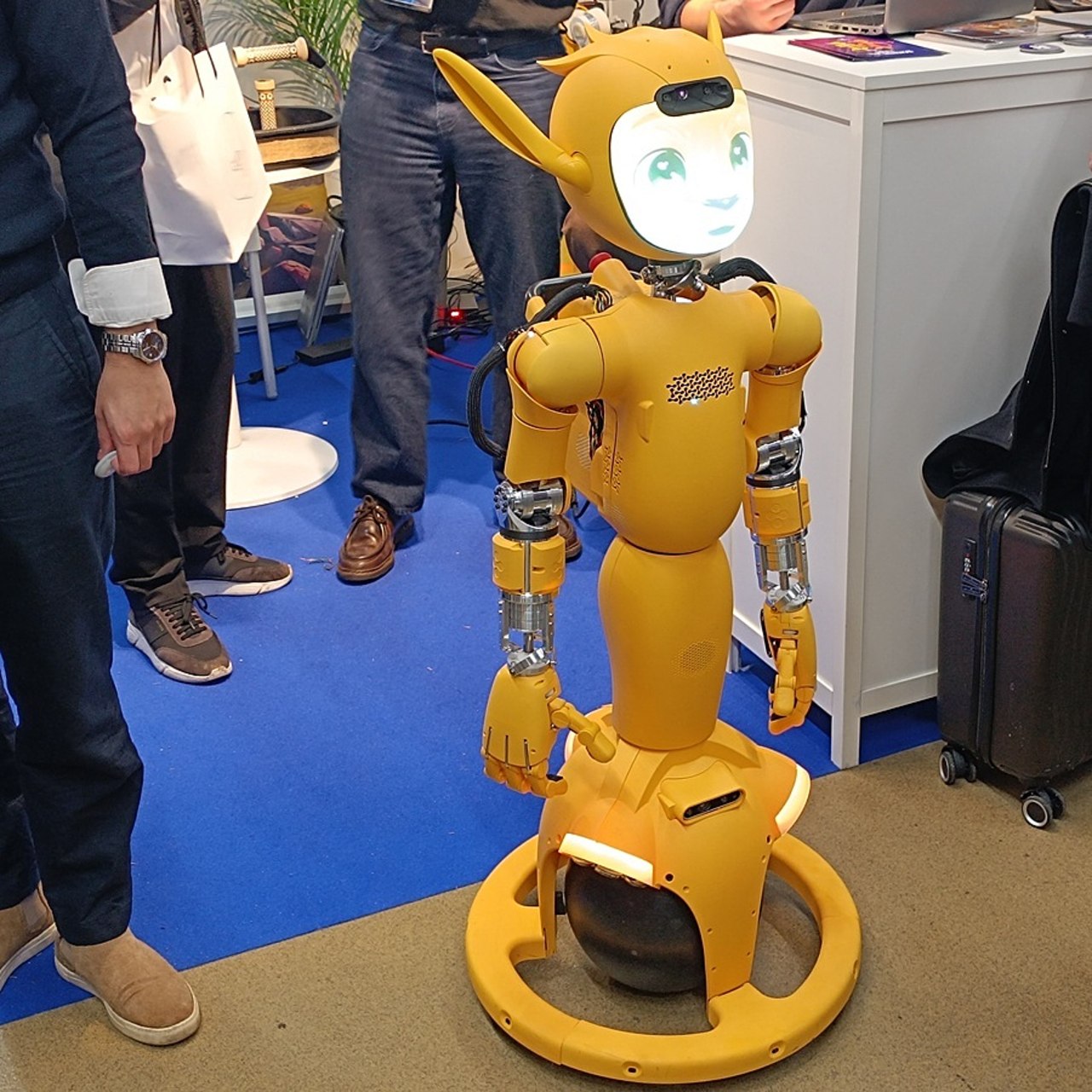 D'une taille d'1,23 mètre sur son globe roulant, Miroki peut saisir des objets auxquels une poignée adaptée a été fixée et interagir avec les humains de manière émotionnelle et intuitive. (Perrine Debacker/Hospimedia)