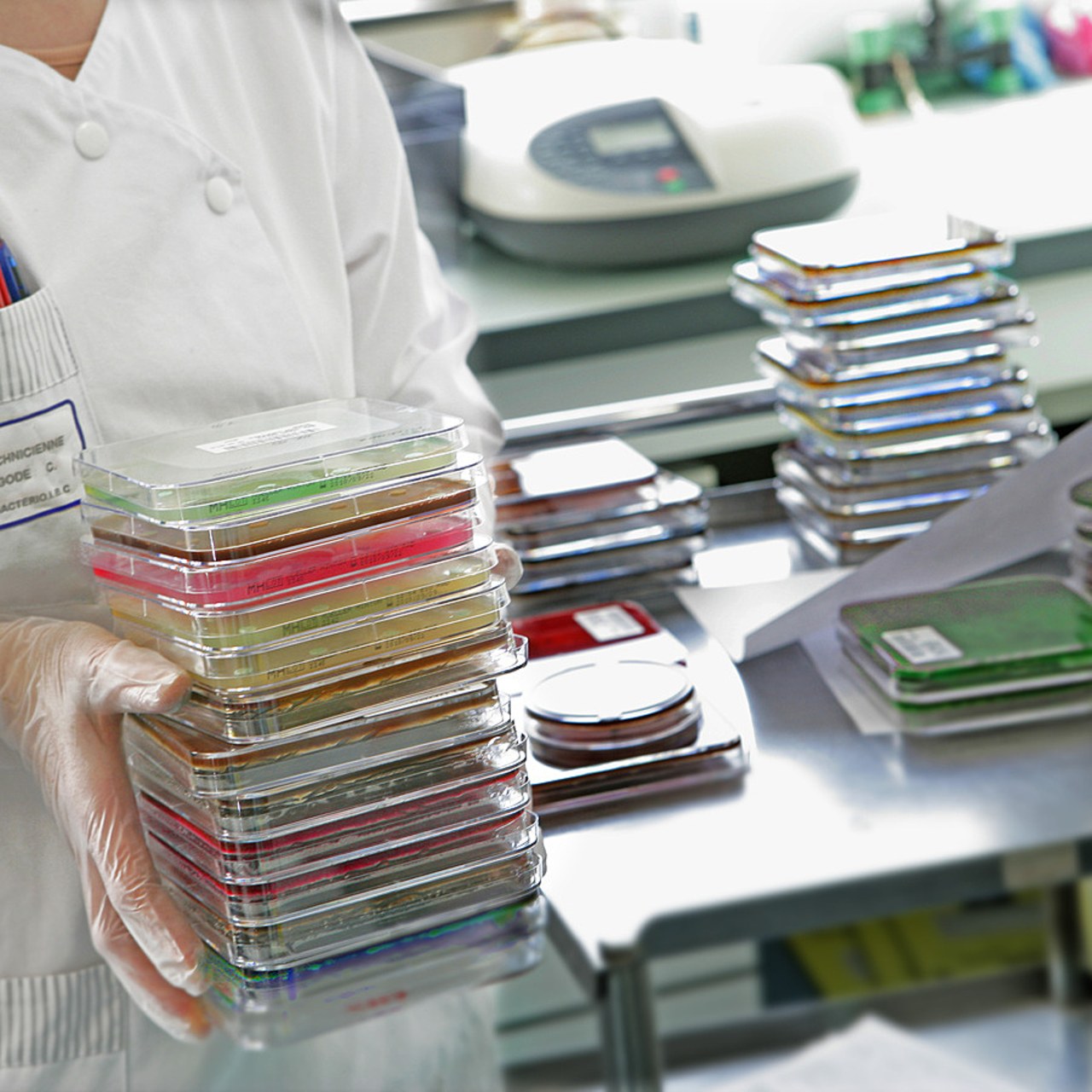 Les antibiogrammes sont réalisés quotidiennement dans les laboratoires hospitaliers pour isoler les bactéries, les analyser et déterminer pour quel antibiotique elles sont sensibles ou résistantes. (Chassenet/BSIP)