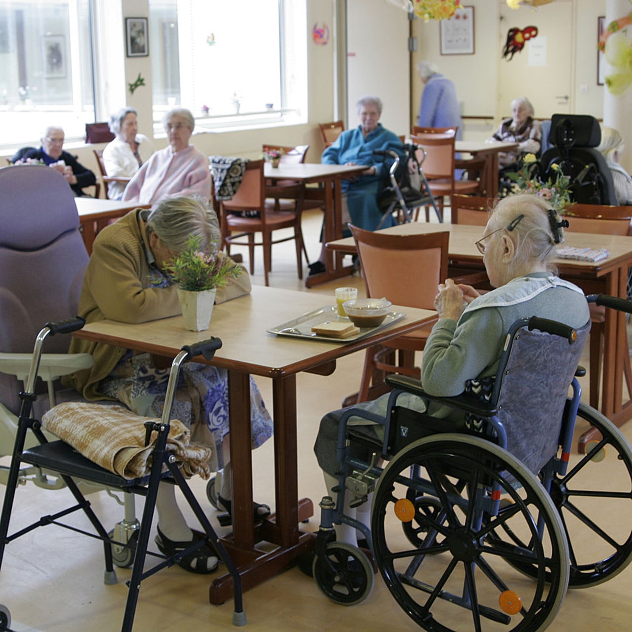 L'association Alim50+ va réactiver en janvier son groupe de travail sur la formation à l'alimentation des personnes âgées. (Lemoine/BSIP)