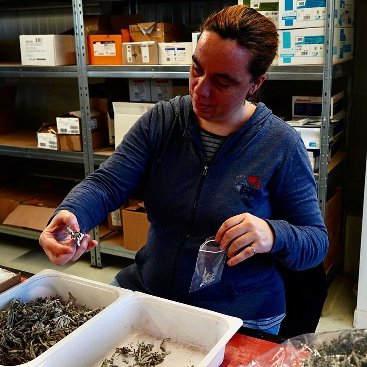 Trois fédérations ont décidé de joindre leurs efforts pour fluidifier les relations entre travail protégé et réorientation professionnelle pour les travailleurs en situation de handicap. Elles ont dévoilé un plaidoyer pour faire évoluer la réglementation. (Tremelet/Image Point FR/BSIP)