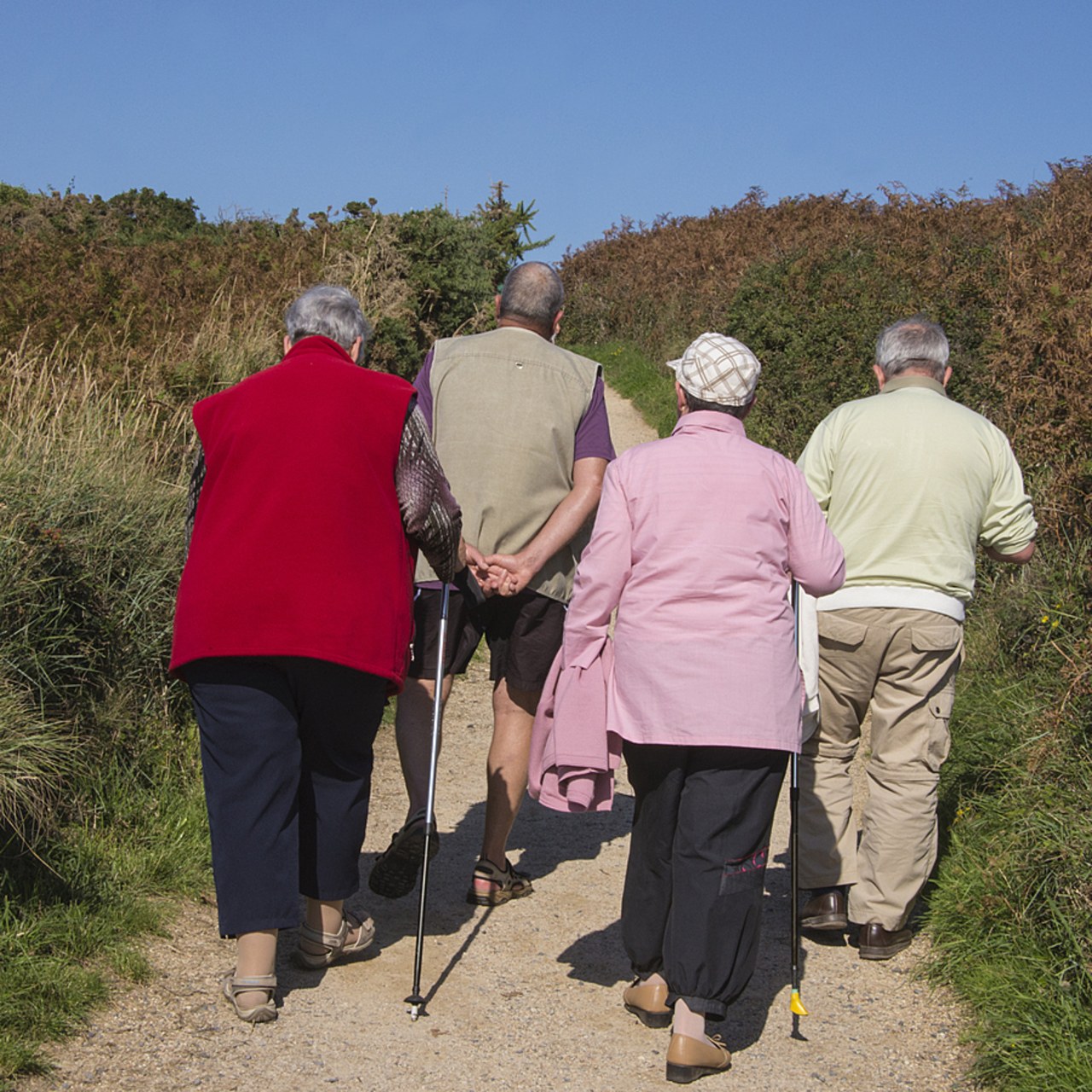 La prescription sociale repose sur quatre piliers parmi lesquels de l'activité permettant de créer du lien comme des promenades en nature, des cours de cuisine, du jardinage… (May/BSIP)