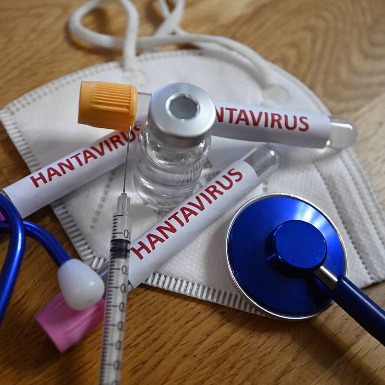 Le Gouvernement français a placé sous surveillance hospitalière les passagers considérés à risque après l'apparition d'un foyer d'hantavirus Andes. (Mourad Allili/Sipa)