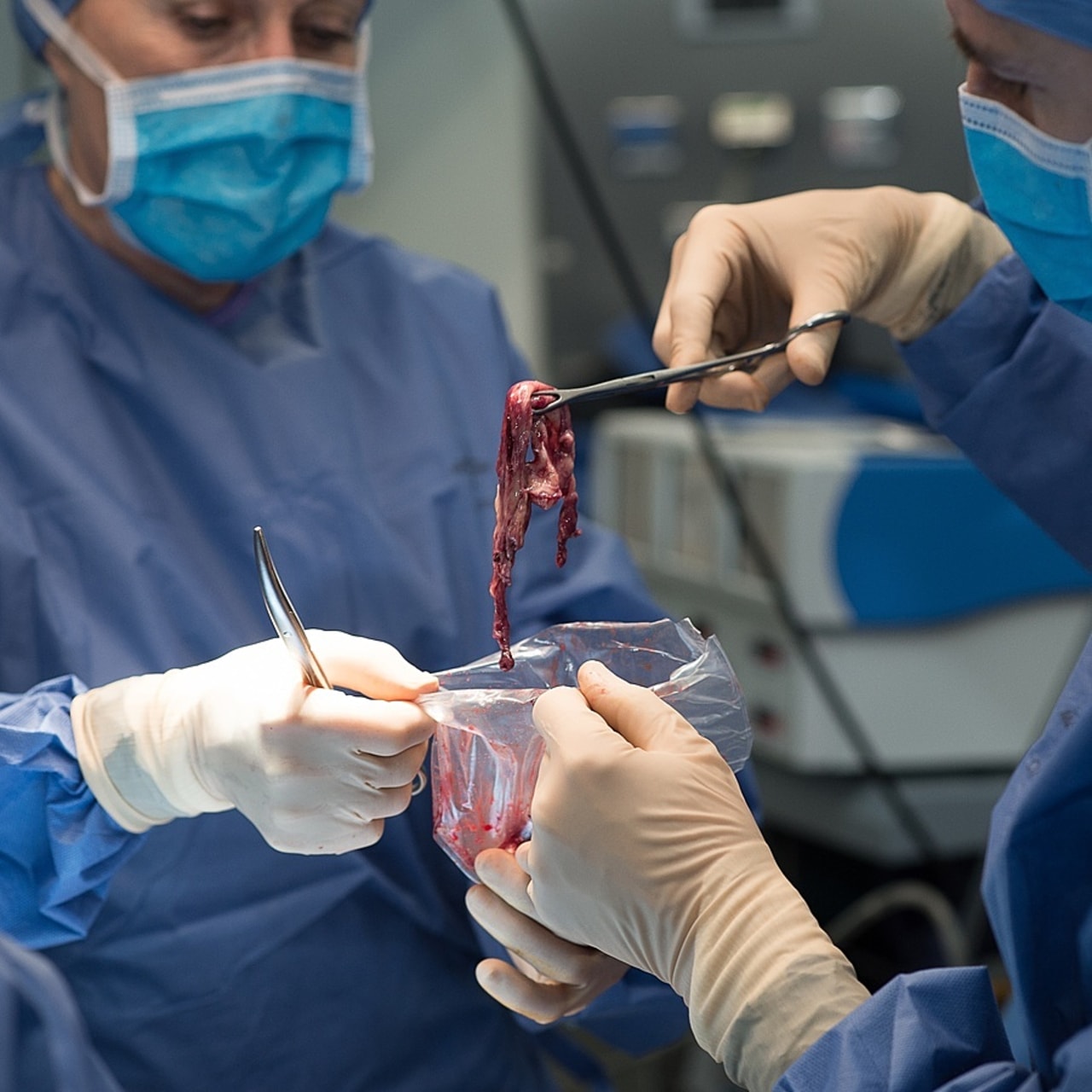 Aujourd'hui voués à la destruction, les éléments biologiques constituent un enjeu fondamental pour la recherche. (A. Noor/Image Point FR/BSIP)