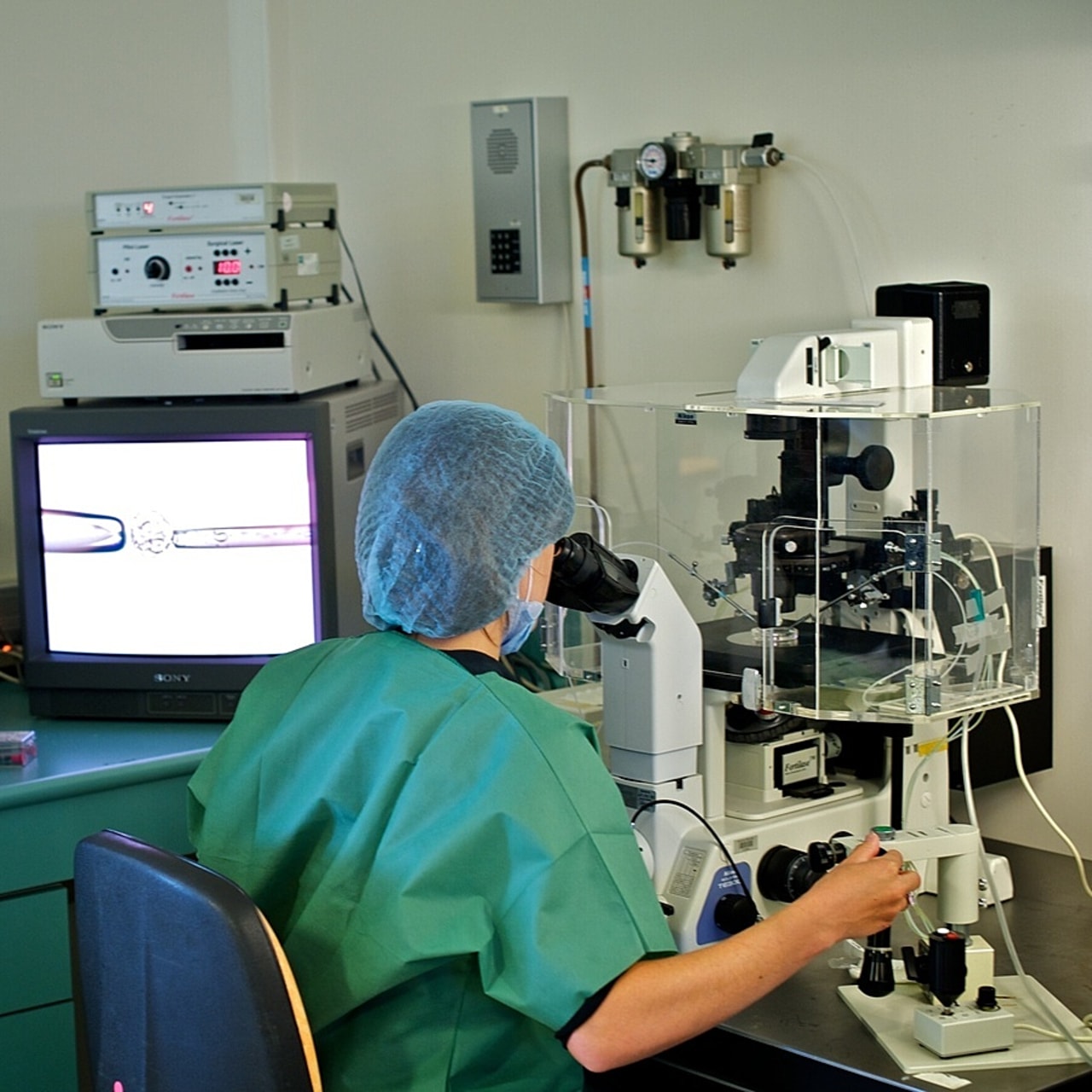 Le diagnostic préimplantatoire des aneuploïdies, sans indications médicales, lors d'une fécondation in vitro est interdit en France, pour des raisons éthiques. (L. Souci/BSIP)