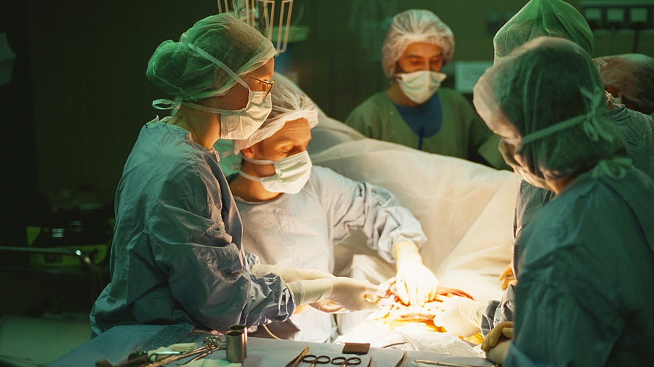 Le quatrième plan pour le prélèvement et la greffe d'organes et de tissus est doté de 210 millions d'euros supplémentaires sur 2022-2026 pour financer des mesures nouvelles. (Platriez/BSIP)