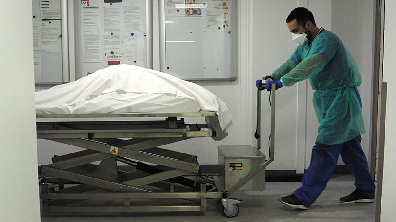 La sortie du centre des corps donnés sera possible à des fins d'enseignement ou de recherche, mais soumise à des conditions spécifiques qui restent à définir. (Pascal Bachelet/BSIP)