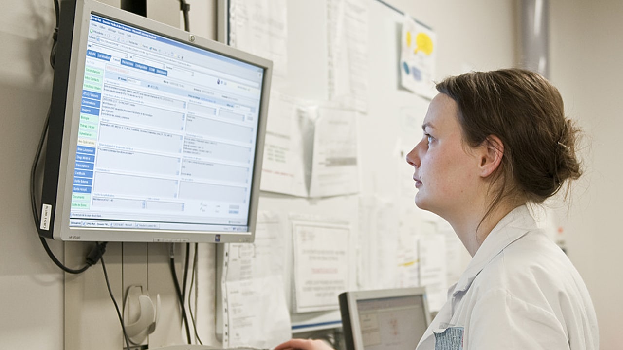 Plus de 40 000 infirmiers ont répondu à l'enquête menée par leur ordre. (Raguet H./BSIP)