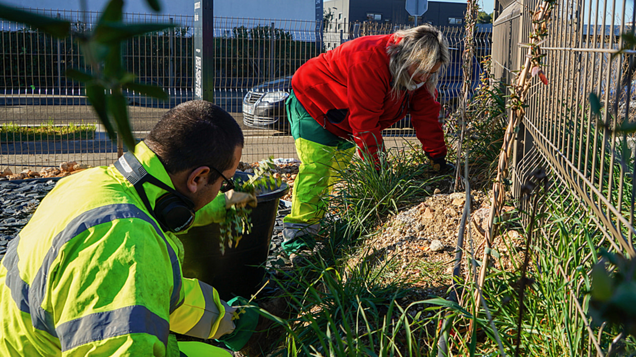Si les Esat et EA tentent de diversifier leurs activités, ils sont toujours nombreux à être positionnés sur des activités historiques du secteur : 63% sur le conditionnement, la logistique et le transport, 61% sur les espaces verts et paysagers et 53% sur le nettoyage et entretien. (Tremelet/BSIP)