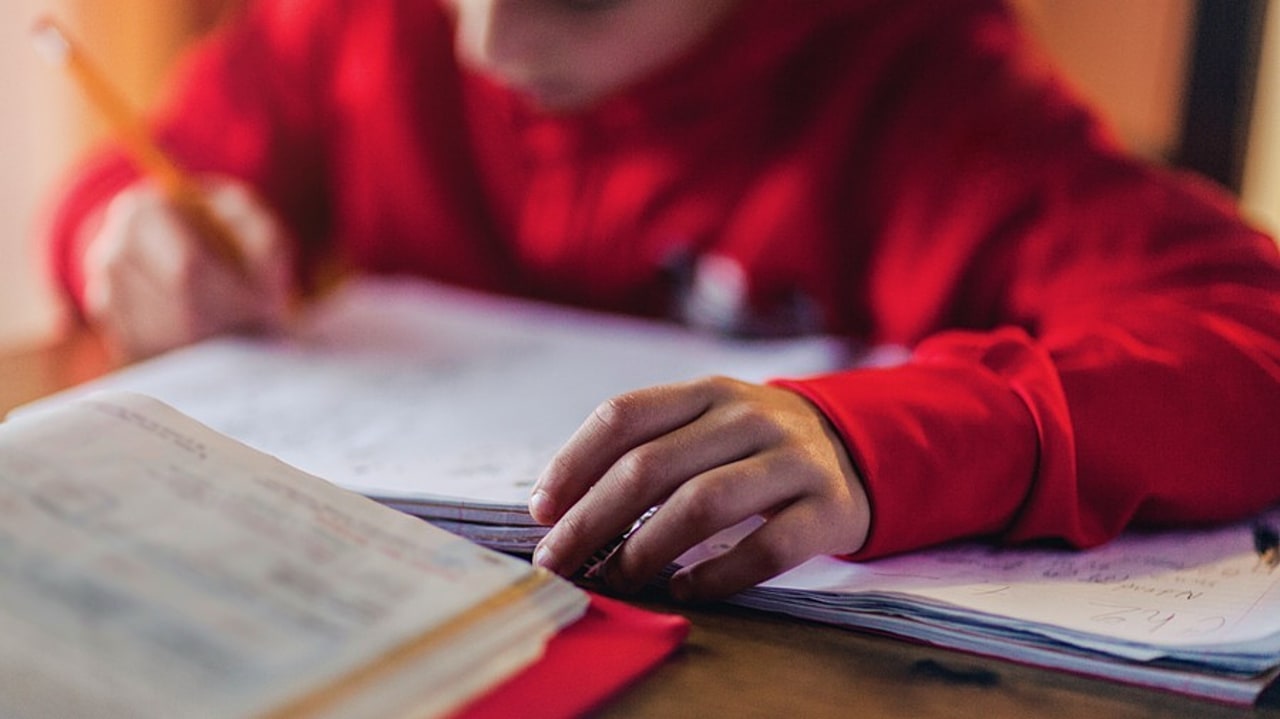 Les enfants Dys devront compenser leur handicap toute leur vie. Le secteur médico-social peut les aider à mettre en place des stratégies, à l'école notamment. (Image source/BSIP)