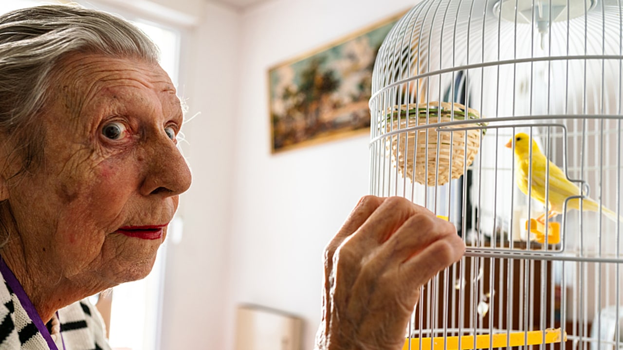 Parmi les grands projets portés par la ministre des Solidarités, Aurore Bergé, compte la réforme des concours de la CNSA aux départements. Celle-ci assurerait selon elle un réel pilotage des politiques publiques et réduirait les inégalités territoriales. Une "prime à ceux qui s'engagent" est également évoquée pour favoriser les départements investis dans les politiques d'autonomie. (Morcillo/BSIP)