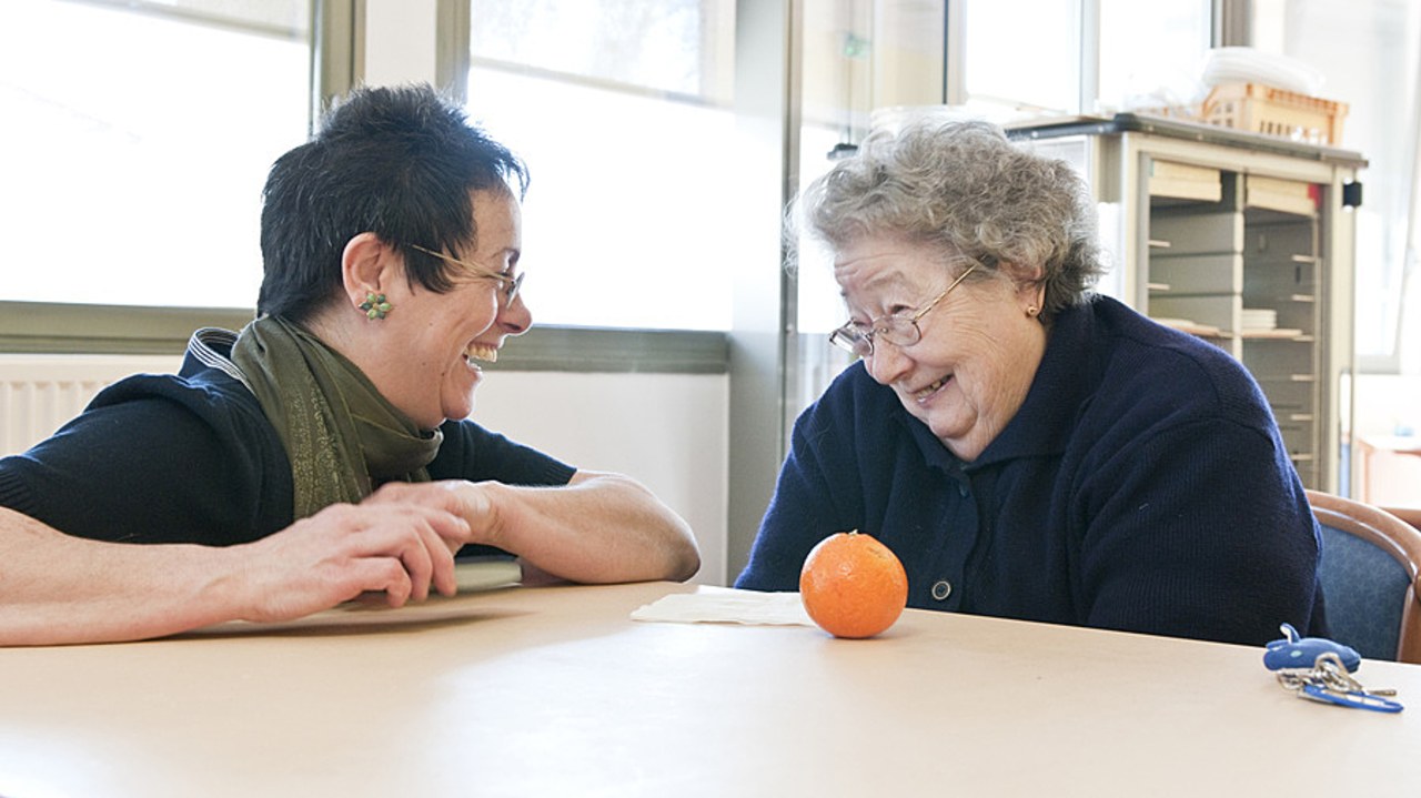 Les auxiliaires de vie alternent les moments de soins et ceux consacrés à la préparation des repas, à l'entretien de la maison ou à des activités (Raguet H./BSIP)