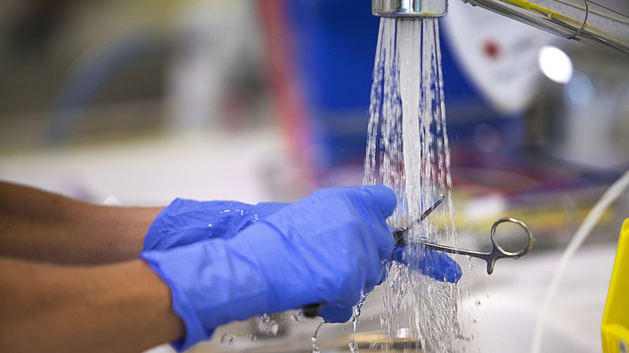 Tout professionnel ou toute équipe menant une initiative en faveur des soins écoresponsables est ciblé par le recensement, exerçant en établissement de santé, dans le secteur médico-social ou en ville. (Amélie-Benoist/Image Point FR/BSIP)